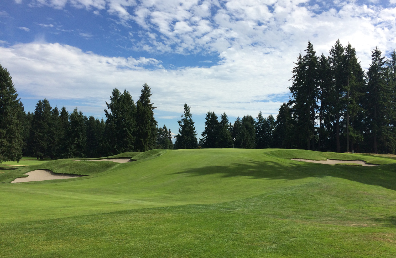 Fircrest_Renovated Cutten Golf Course Design